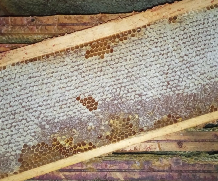 Savon naturel au miel : bienfaits, fabrication et comment bien le choisir